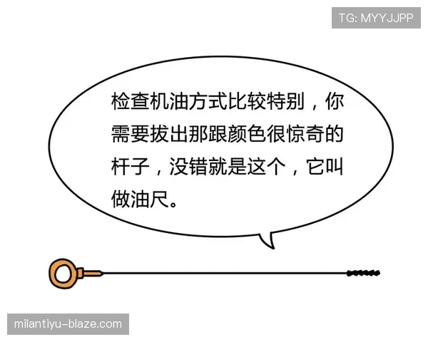 角球开出规则拆解:何时必须停球,何种方式才算有效? 角球开出规则拆解:何时必须停球,何种方式才算有效?